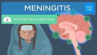 Meningitis Hirnhautentzündung Ursachen Symptome Behandlung  Kenhub [upl. by Eirual]