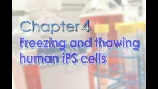 Chapter 4 Freezing and thawing human iPS cells [upl. by Ailero524]