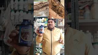 Dentol Termite treatment  Termite Killer  Termite treatment chemical [upl. by Nosreve]