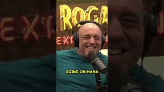 Theo Von amp Joe Rogan What else is going on [upl. by Birkle]