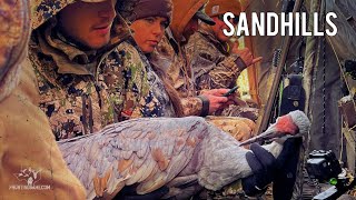 Sandhill Crane Hunt in West Texas [upl. by Eolanda903]