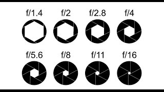 Beginner DSLR Photography basics Aperture and depth of field guide [upl. by Deeann]