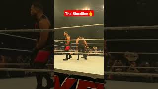 The Bloodline  WWE Live Event wwe shorts [upl. by Sainana]