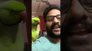 Parrot talking trainingparrottalking parrot short [upl. by Adaner]