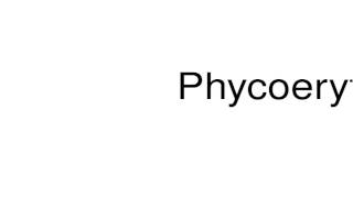 How to pronounce Phycoerythrin [upl. by Nabi753]