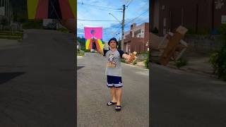 Raia coreana pipas shortsvideo pipasbrasil shorts [upl. by Nallij563]