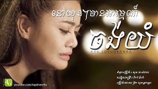 នៅសុខៗមានអារម្មណ៍ចង់យំ  Aok Sokunkanha Lyric Audio [upl. by Cassandry702]