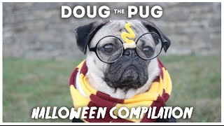 Doug The Pug Halloween Compilation [upl. by Manup]