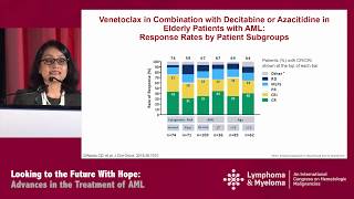 Acute Myeloid Leukemia Debate on Standard of Care for Patients ≥ 60 Years [upl. by Aiuqram261]