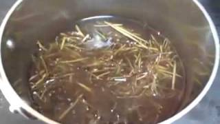 Homemade Herbal Cough Syrup with Wild Choke Cherry Bark [upl. by Celinka642]