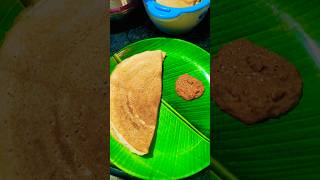 tomato pachadiidli dosa and rice please viral short [upl. by Grobe464]