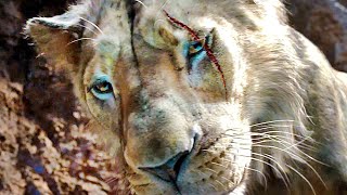 MUFASA THE LION KING quotHow Scar Got His Scar Scenequot Trailer NEW 2024 [upl. by Drarej]