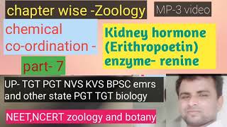 om bio study zone  kidney harmons and enzymeByRk sir [upl. by Cirda151]