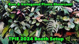 Aroid Greenhouses TPIE 2024 Booth Setup  Tropical Plant International Expo Highlights [upl. by Myra]