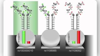 Illumina Infinium Assay An Overview [upl. by Ahsieit]