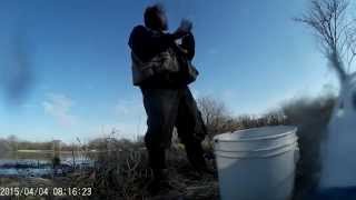 Fishing Rainbow Trout at the Pickerel Lake Pratts Wayne Forest Preserve Bartlett IL [upl. by Carbrey]