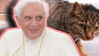 Papst Benedikt XVI  Spurensuche in Brixen Teaser [upl. by Barrie253]