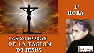 PRIMERA 1 HORA DE LAS 24 HORAS DE LA PASION DE JESUS AYUDA ALMAS DEL PURGATORIO SANA TU VIDA [upl. by Gladine]