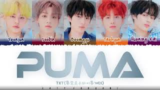 TXT  PUMA 동물원을 빠져나온 퓨마 Lyrics Color CodedHanRomEng [upl. by Lynnett]