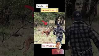 kangaru vs man dog animals doglover lion funny music explore rap remix [upl. by Ittam872]