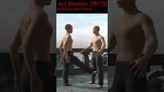 Exercice pour laine 3972 art shaolin [upl. by Gussi945]