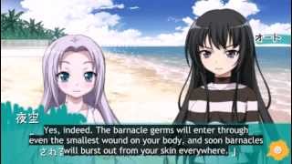 【English Subbed】 Haganai PSP Part 4  Beach Antics [upl. by Naziaf149]