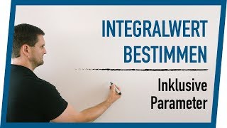 Integralwert bestimmen plus Parameter Version  Mathe by Daniel Jung [upl. by Colin]