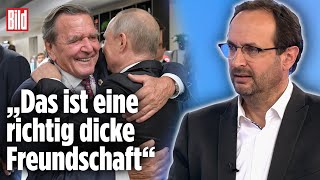 Gerhard Schröder Der Schattenmann von Putin  Peter Tiede bei BILD Live [upl. by Maller]