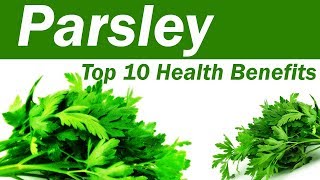 Top 10 Benefits of Parsley  Parsley Leaves Benefits and Uses  Amazing Benefits Of Parsley [upl. by Elahcim]