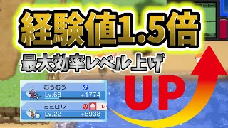 【ポケモンBDSP】効率良いレベル上げ方法の紹介！最大効率で経験値稼ぎ！【ポケモン ブリリアントダイヤモンド・シャイニングパールダイパリメイクしあわせタマゴ】 [upl. by Notelrahc]