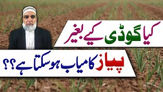 Strategy to control weeds from Onion crop  Crop Reformer [upl. by Hollinger]