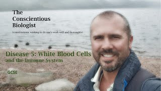 Disease 5 White Blood Cells and the Immune System [upl. by Nerdna]