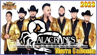 Alacranes Musical Puros Corridos Exitos De Oro  Alacranes Musical Exitos Sus Mejores Canciones [upl. by Oravla]