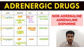 Autonomic Pharmacology  15  NorAdrenaline  Adrenaline amp Dopamine  EOMS [upl. by Alexia]