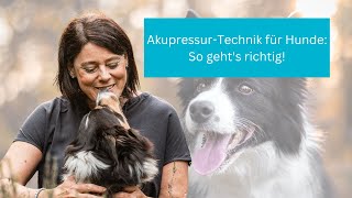 Akupressur beim Hund Effektive Technik zur Stimulierung von Akupunkturpunkten einfach erklärt [upl. by Aryamoy480]