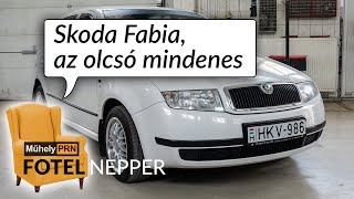 Fotelnepper Egy Fabiában mi tud elromlani [upl. by Baker]