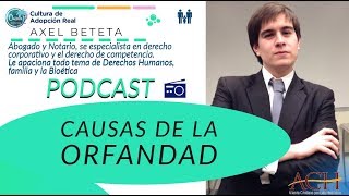 TEMA 2  CAUSAS DE LA ORFANDAD Axel Beteta [upl. by Boatwright]