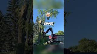 Cutting A Tree With Heavy Machinery😱 [upl. by Edmead892]