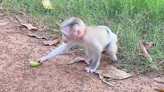 Cute Baby boy Hurly Playing outside alone Look so sad [upl. by Moncear195]