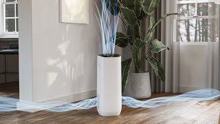 Filtrete™ Smart Air Purifiers for Your Home [upl. by Assetnoc]