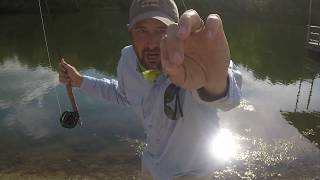 Fly Fishing for Bluegill How I Do It [upl. by Restivo]