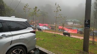 ALZA2022  CAMPSITE CAMERON HIGHLAND  PERLISIPOHCAMERONPERLIS [upl. by Behka800]