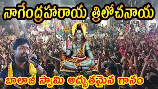 nagendra haraya trilochanaya song  balaji swami [upl. by Bowles]