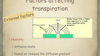 AS level G18 Transpiration Ms Cooper [upl. by Ydnolem]