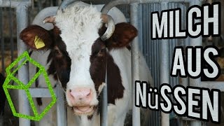 Vegane Milch selber herstellen Gesundes Rezept [upl. by Bartholomew]