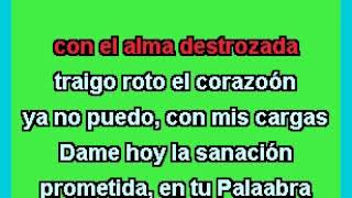 GRUPO RENACER EN EL ESPÍRITU  LLÉVATE MI TRISTEZA KARAOKE [upl. by Akima]