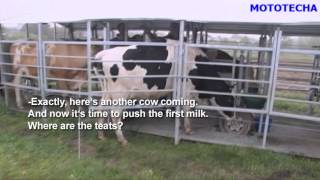 JSC MOTOTECHA  Pasture based milking systemsEnglish subtitles [upl. by Eiramrebma373]