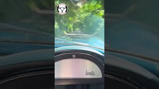 67 Corvette Stingray passenger ride [upl. by Matusow]