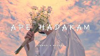 APE HADAKAM  අපෙ හාදකම් slowed x reverb By UziSenadeera  Manee Vibez [upl. by Tanya612]