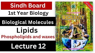 Phospholipids and waxes  lipids  biological molecules  class 11 biology Sindh board new book [upl. by Trevorr]